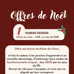 LECTURE DE HUMAN DESIGN - 45mn en visio - Offre de Noël